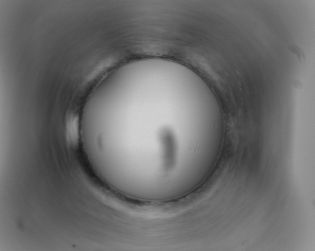 X0000113890020200910081817