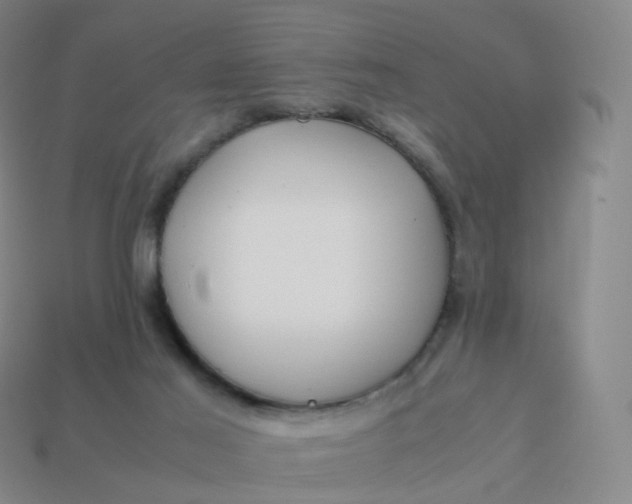 X0000113890021200910081817