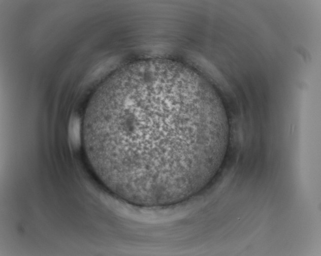 X0000113890022200910081817