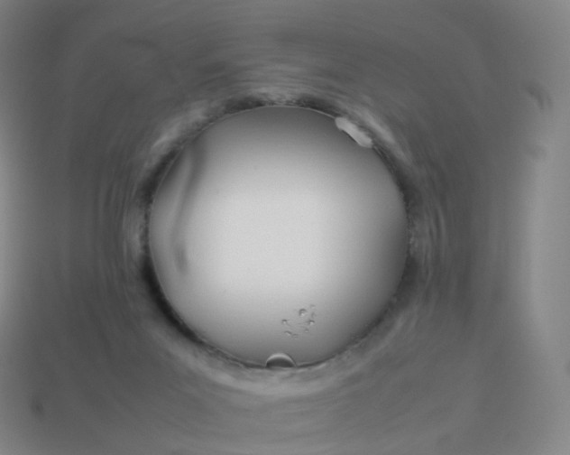 X0000113890023200910081817