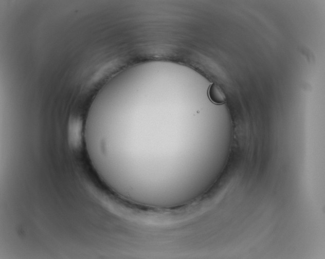 X0000113890024200910081817