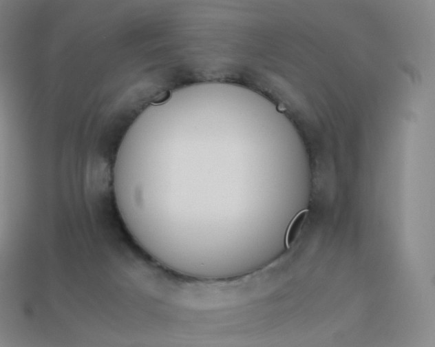 X0000113890025200910081817