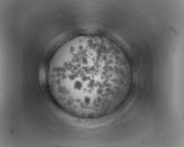 X0000113890026200910081817