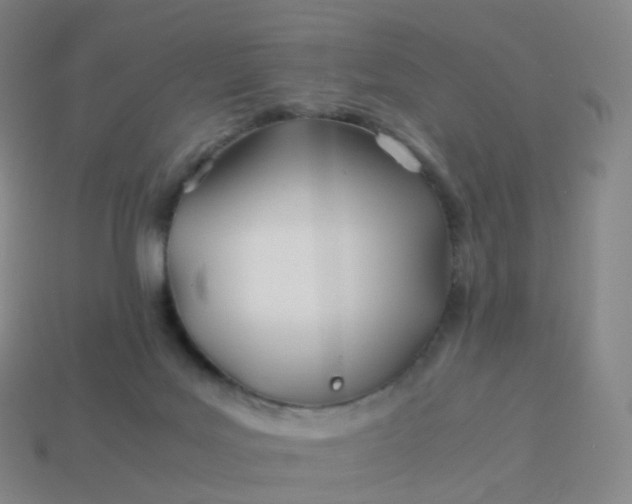 X0000113890027200910081817