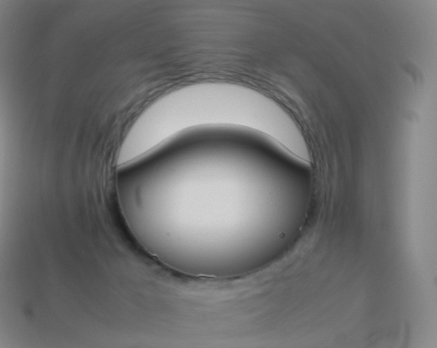 X0000113890029200910081817