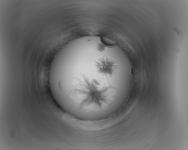 X0000113890030200910081817