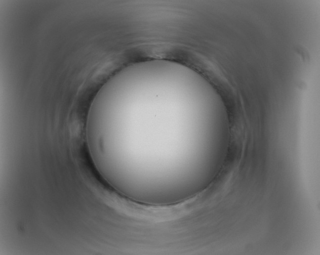 X0000113890031200910081817