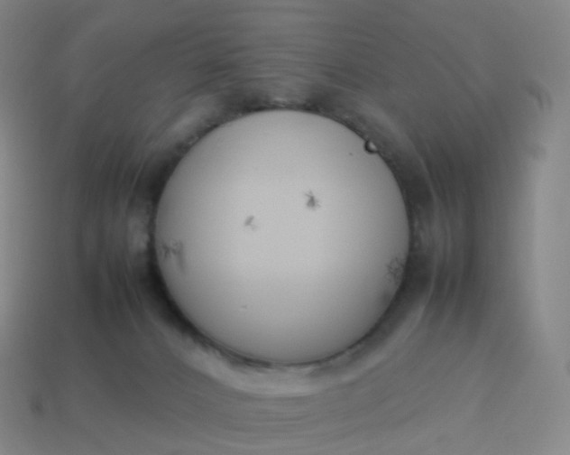 X0000113890032200910081817