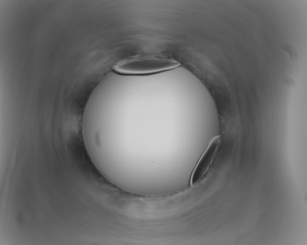 X0000113890033200910081817