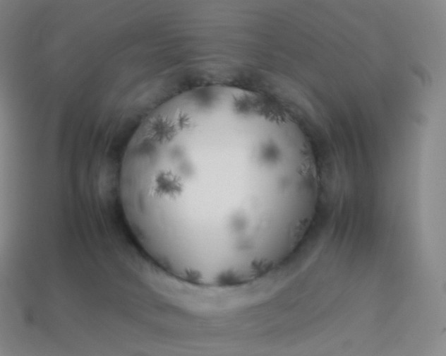 X0000113890034200910081817