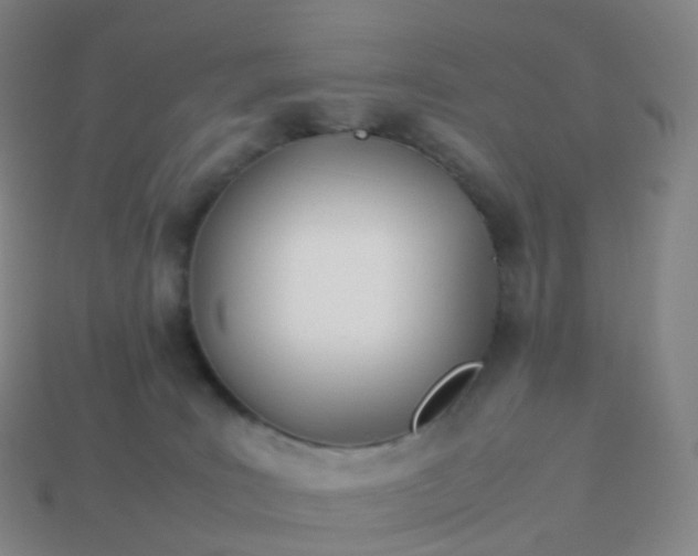 X0000113890035200910081817