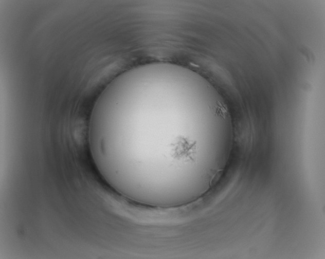 X0000113890036200910081817