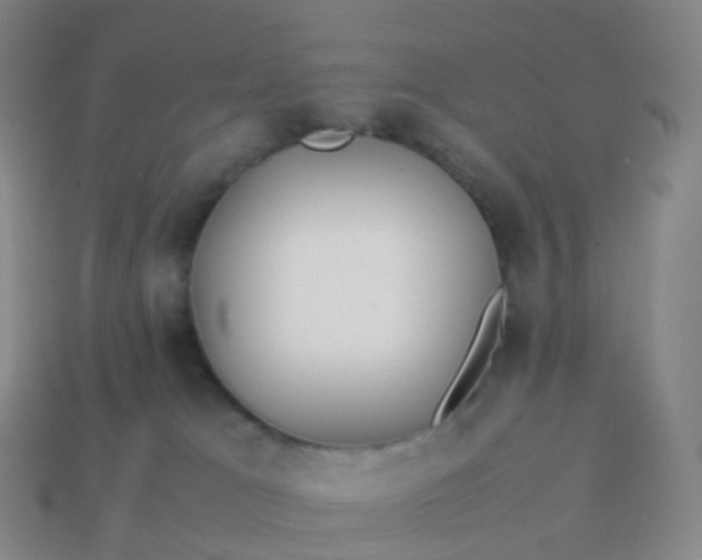 X0000113890037200910081817