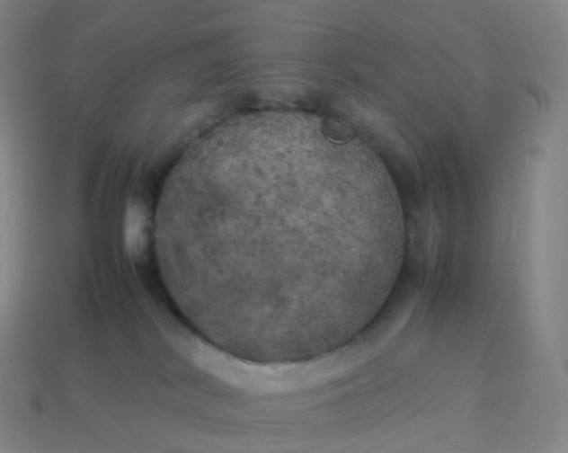 X0000113890038200910081817