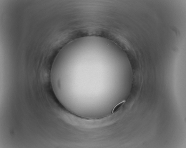 X0000113890039200910081817