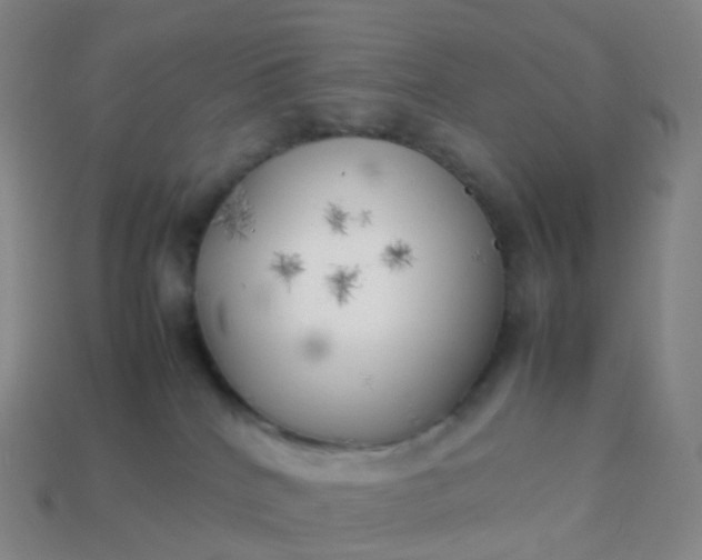 X0000113890040200910081817