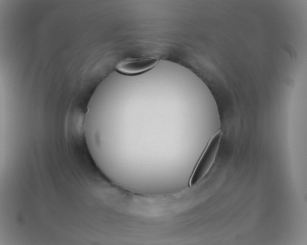 X0000113890041200910081817