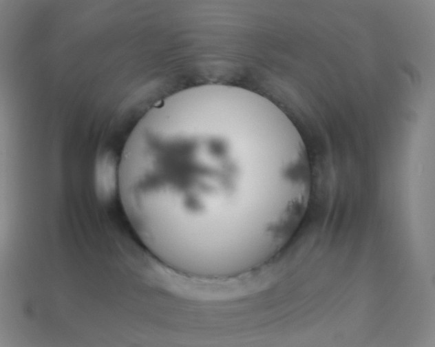 X0000113890042200910081817