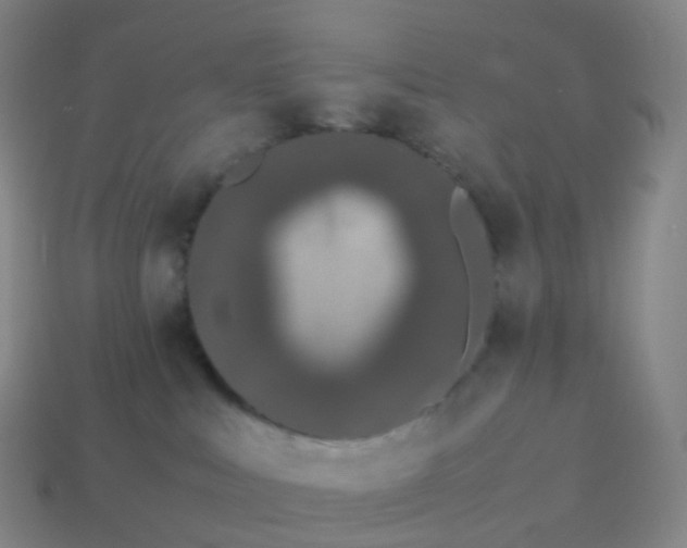 X0000113890043200910081817