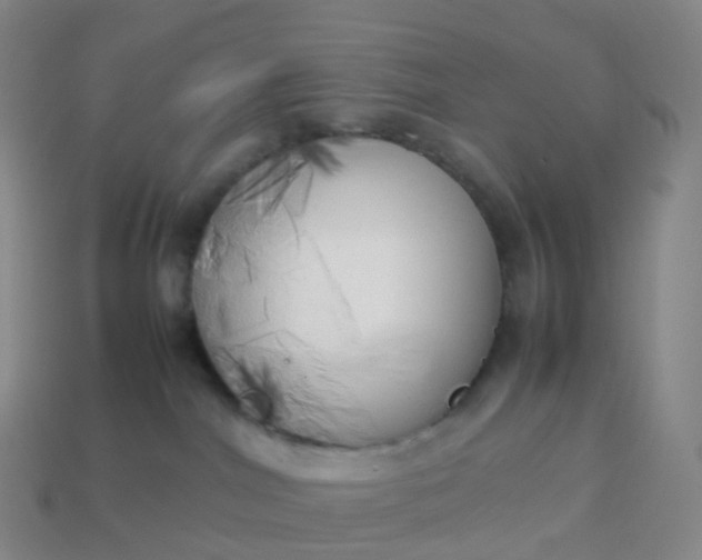 X0000113890044200910081817