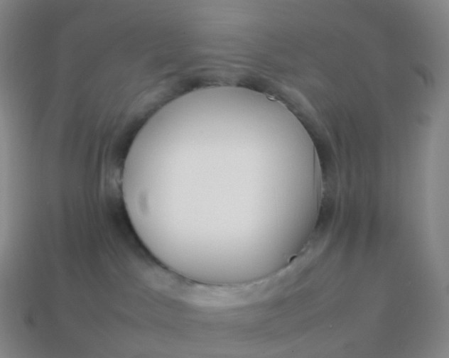 X0000113890045200910081817