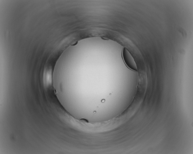 X0000113890046200910081817