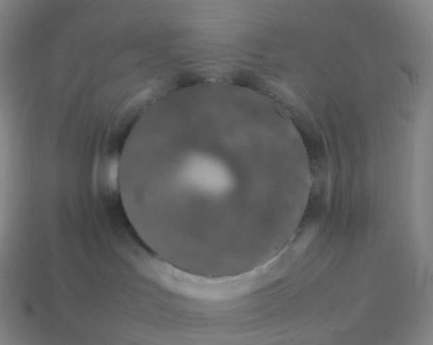 X0000113890047200910081817