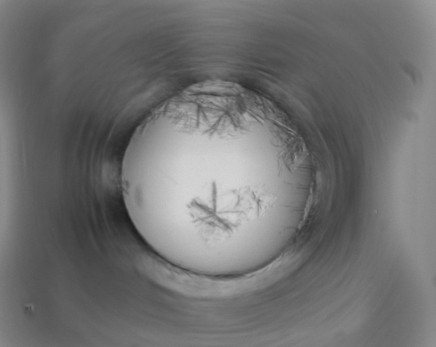 X0000113890048200910081817