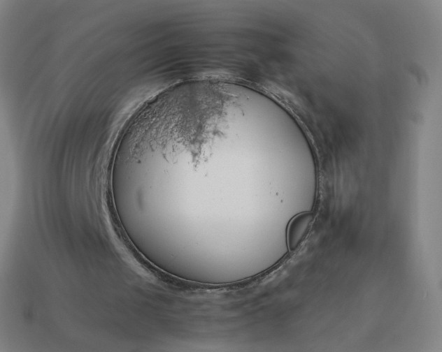 X0000113890049200910081816