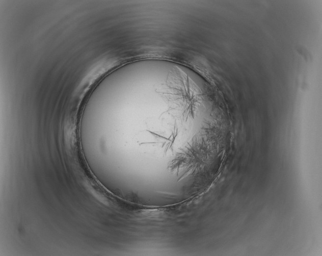 X0000113890050200910081816