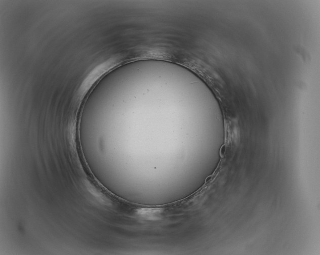 X0000113890051200910081816