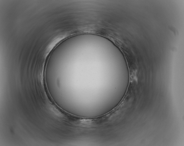 X0000113890052200910081816