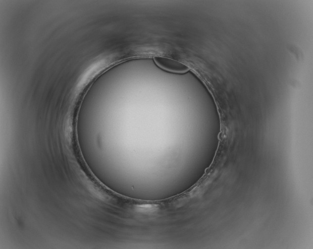 X0000113890053200910081816