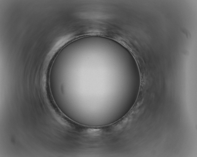 X0000113890055200910081816