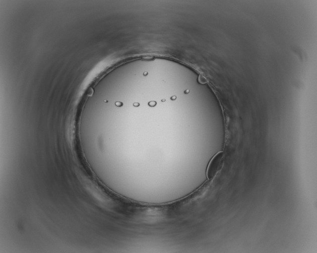 X0000113890056200910081816