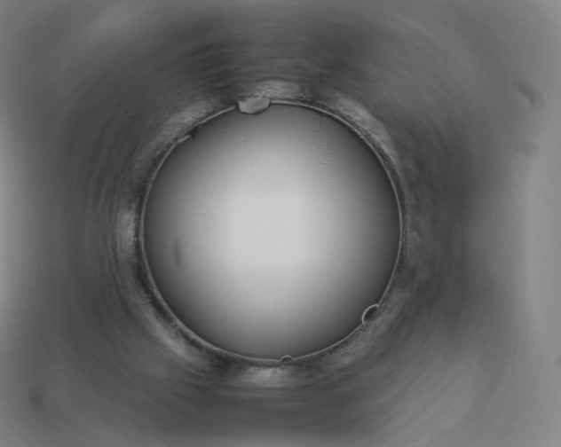 X0000113890057200910081816