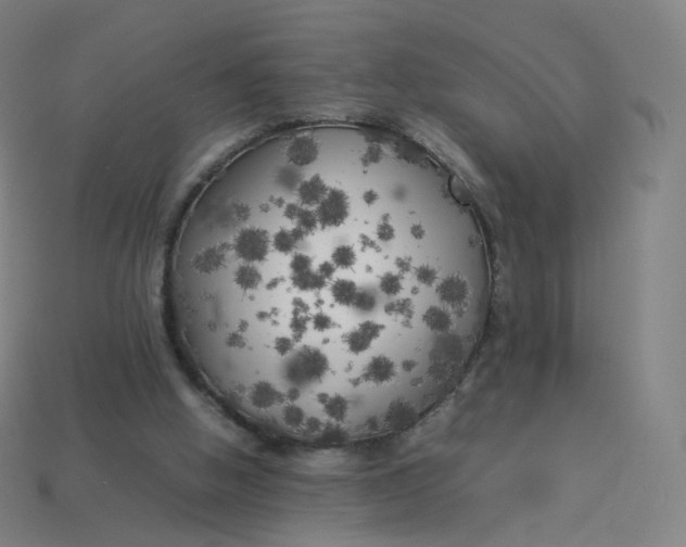 X0000113890058200910081816