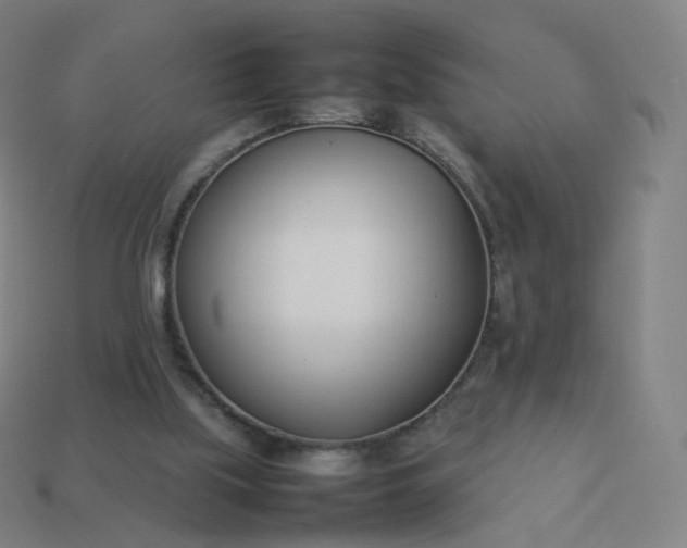 X0000113890059200910081816