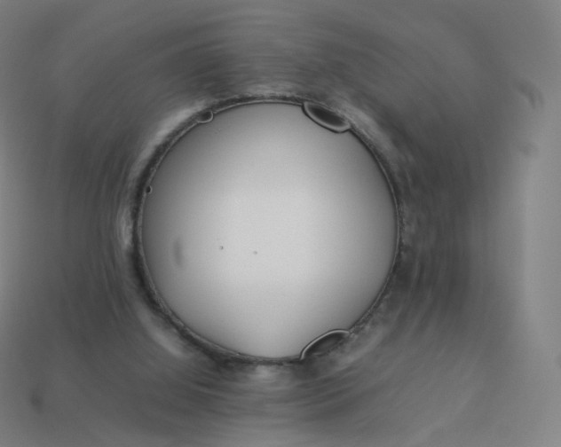 X0000113890060200910081816