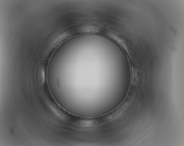 X0000113890061200910081816