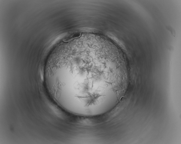 X0000113890062200910081816