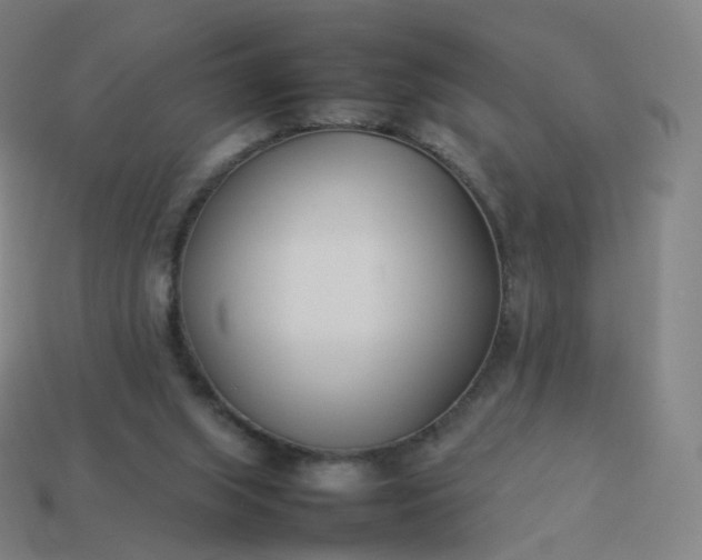 X0000113890063200910081817