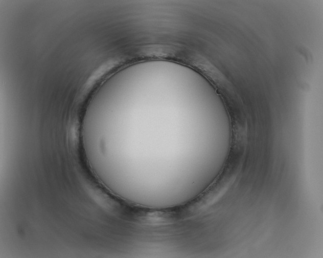 X0000113890064200910081817