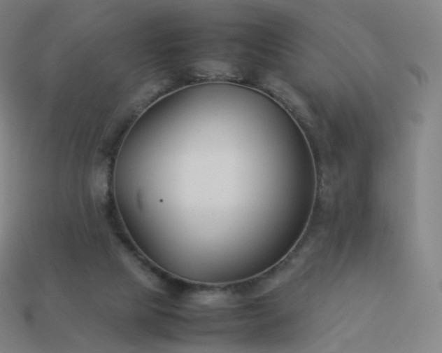 X0000113890065200910081817