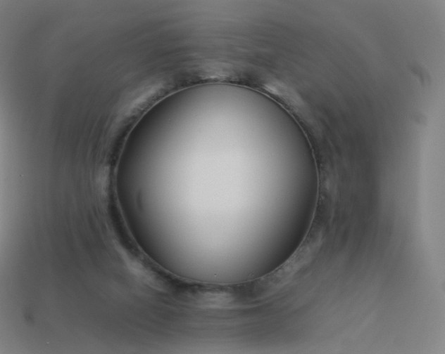 X0000113890066200910081817