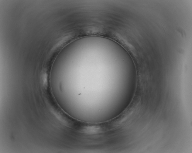 X0000113890067200910081817