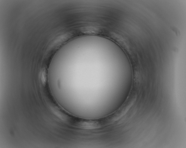 X0000113890069200910081817