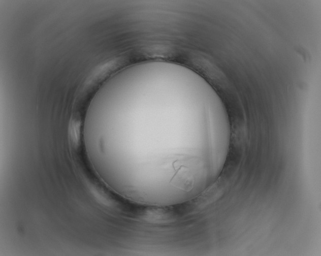 X0000113890070200910081817