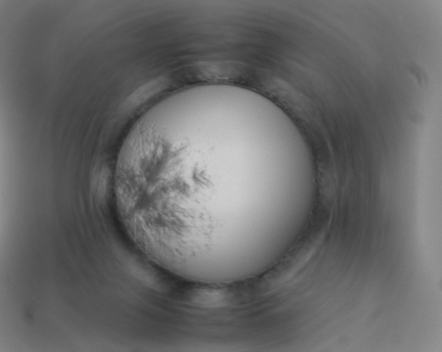 X0000113890071200910081817