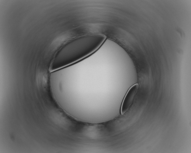 X0000113890072200910081817